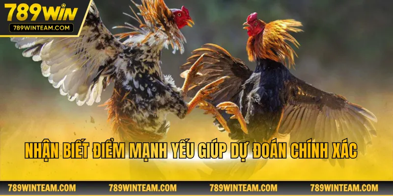 Nhận biết điểm mạnh yếu giúp dự đoán chính xác