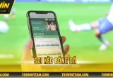 Soi kèo bóng đá